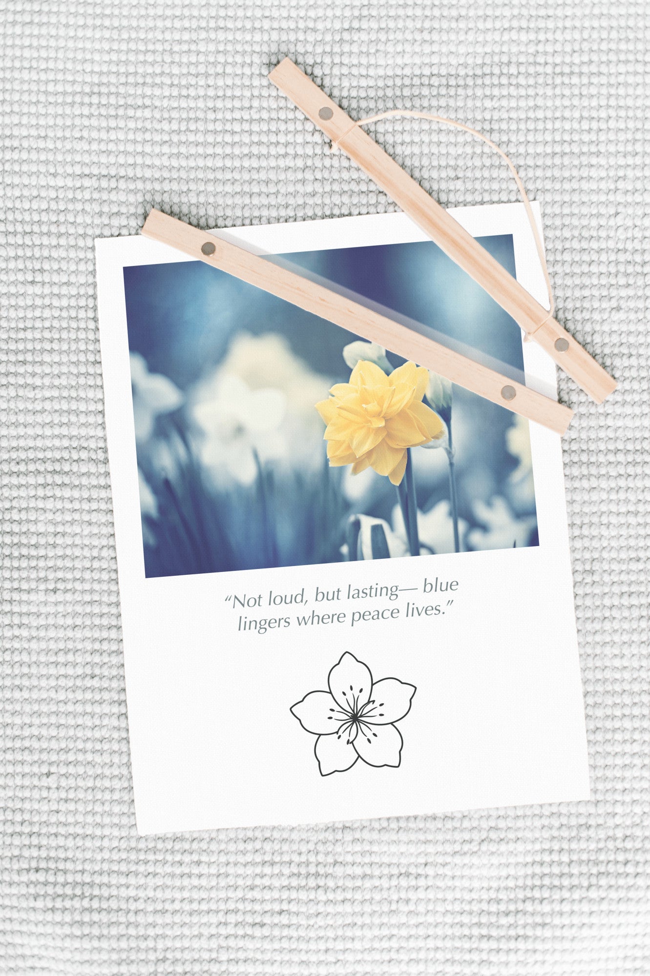 Blue Yellow Nature Flower Canvas