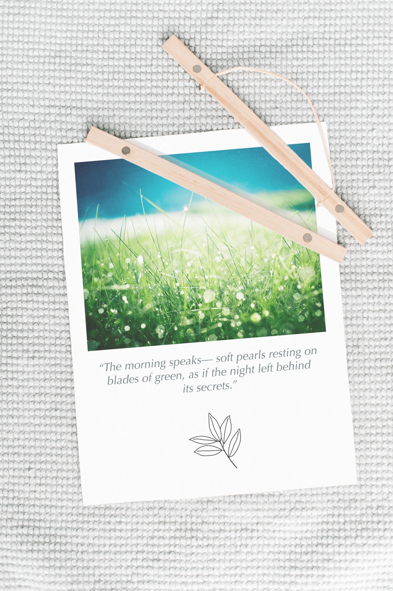 Green Blue Water Dew Drops, Grass Nature Canvas