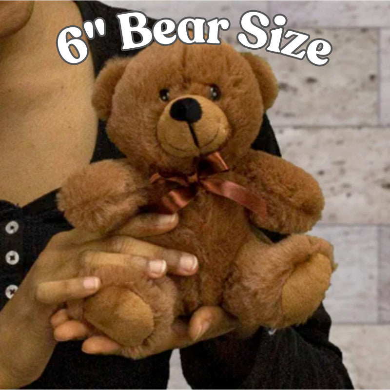 Personalized Sign Teddy Bear, Custom Home Decor Gift