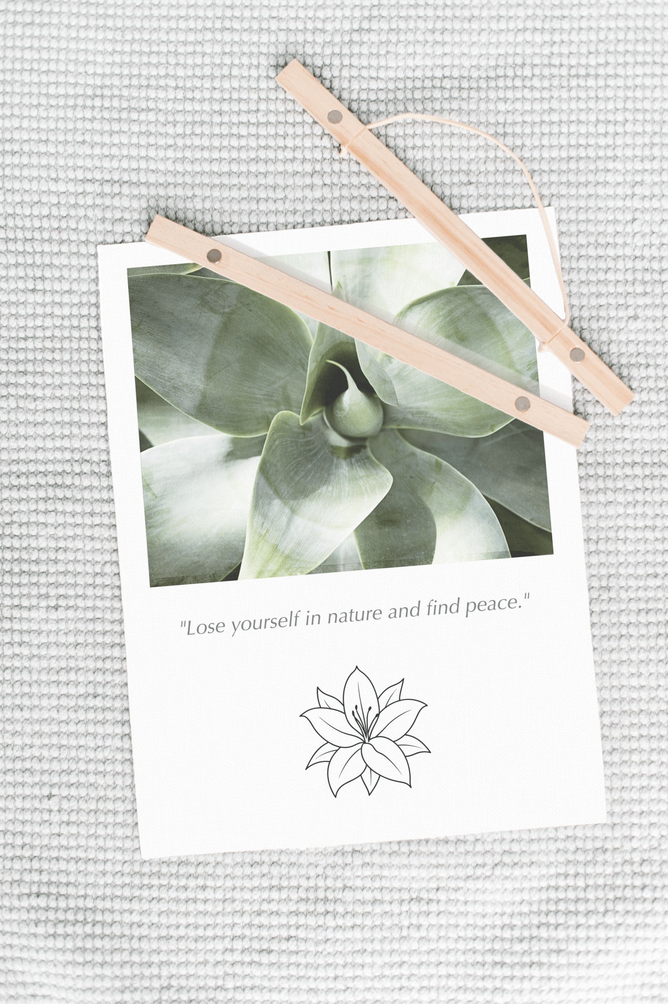 Cactus Nature Canvas, Green Wall Art