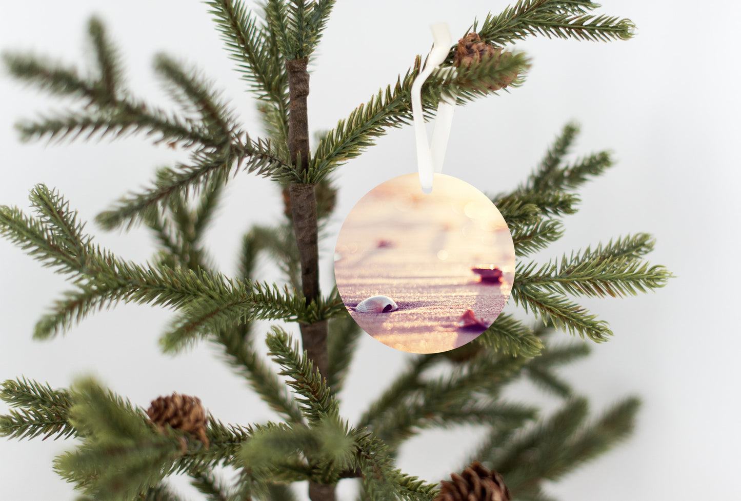 Beach Christmas Tree, Seashell Ornament