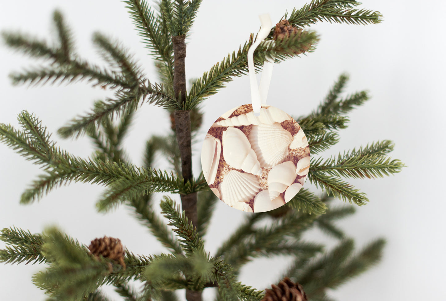 Seashell Beach Ornament, Shells Coastal Gift