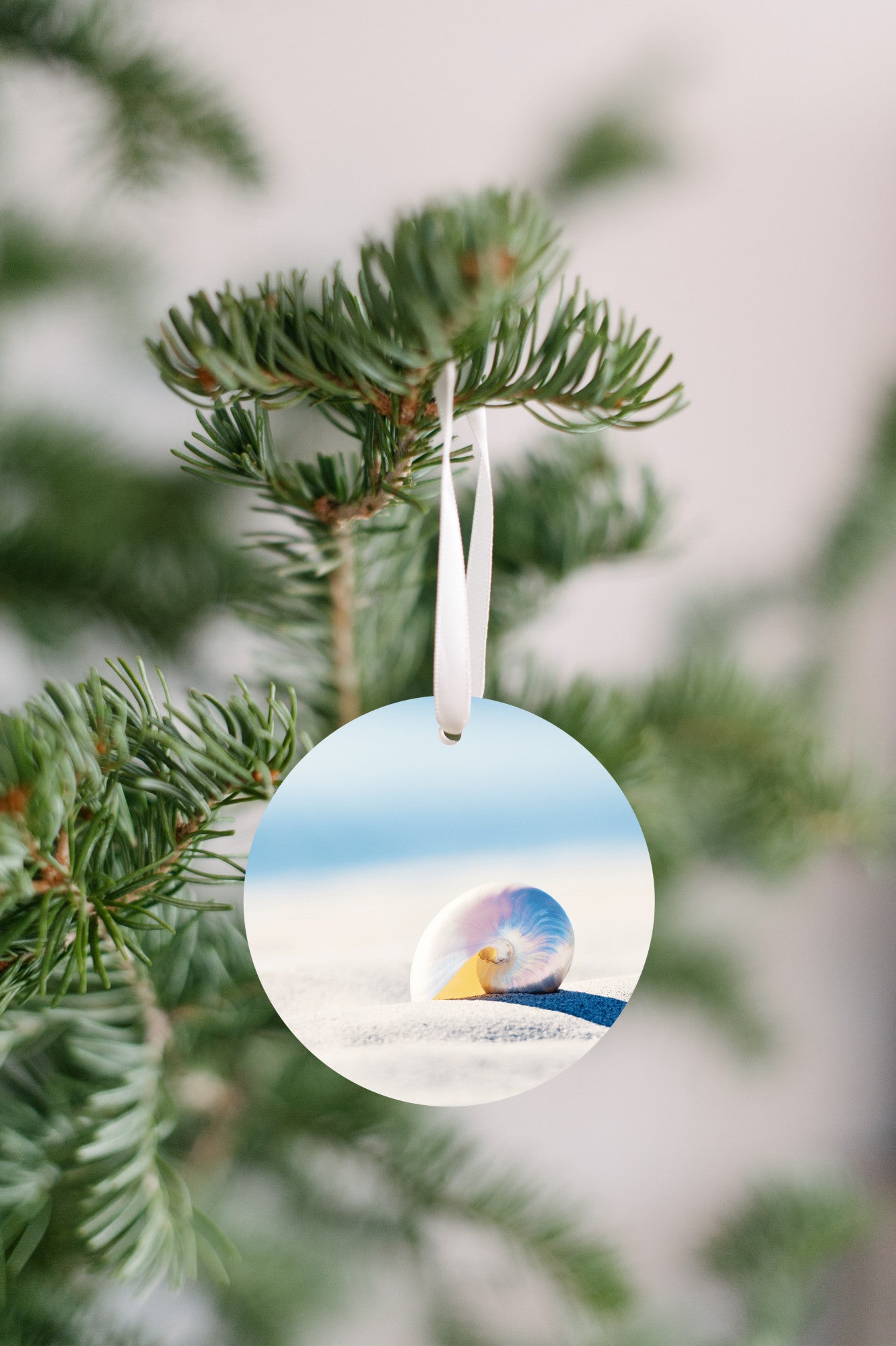 Nautilus Seashell Ornament, Shell Beach Christmas Gift