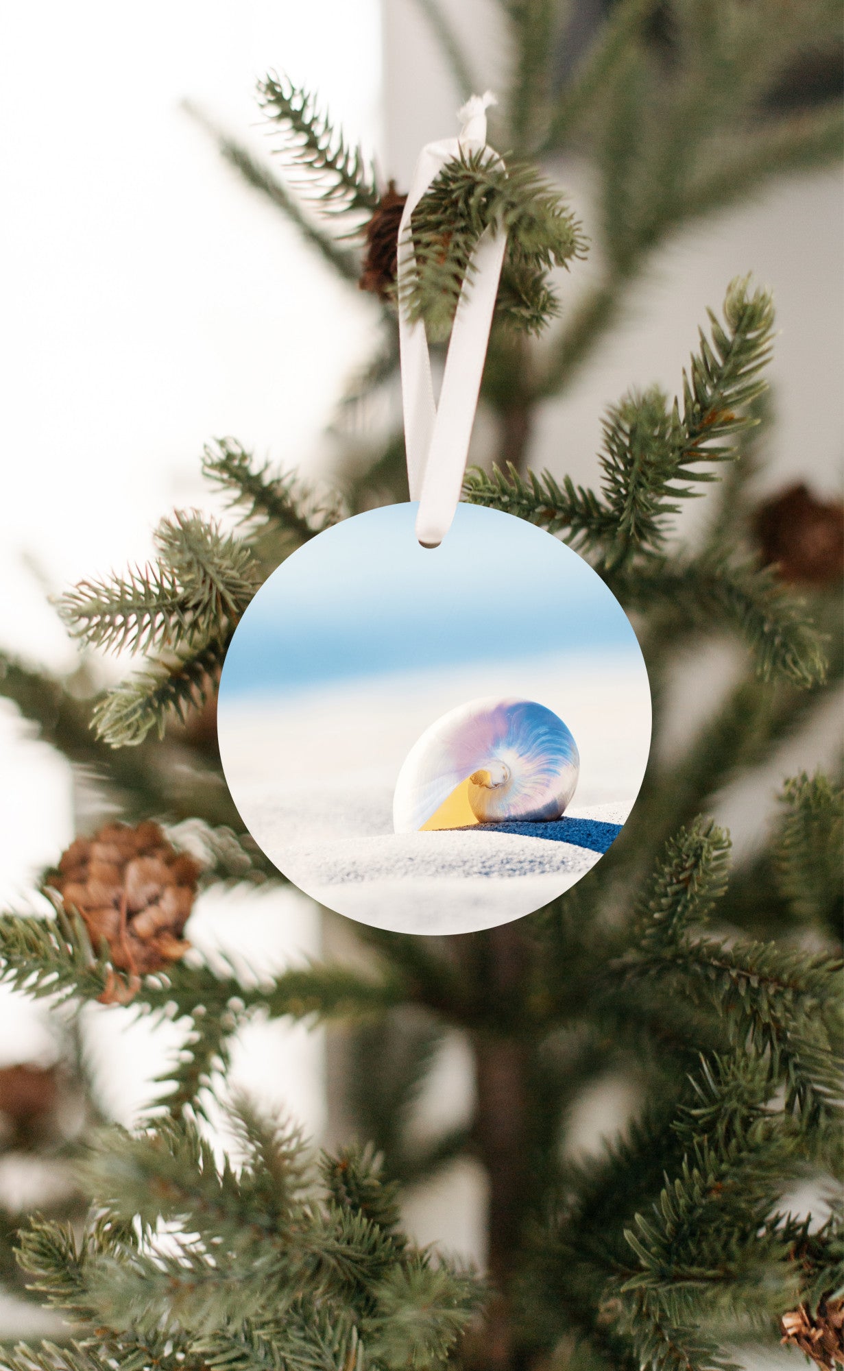 Nautilus Seashell Ornament, Shell Beach Christmas Gift