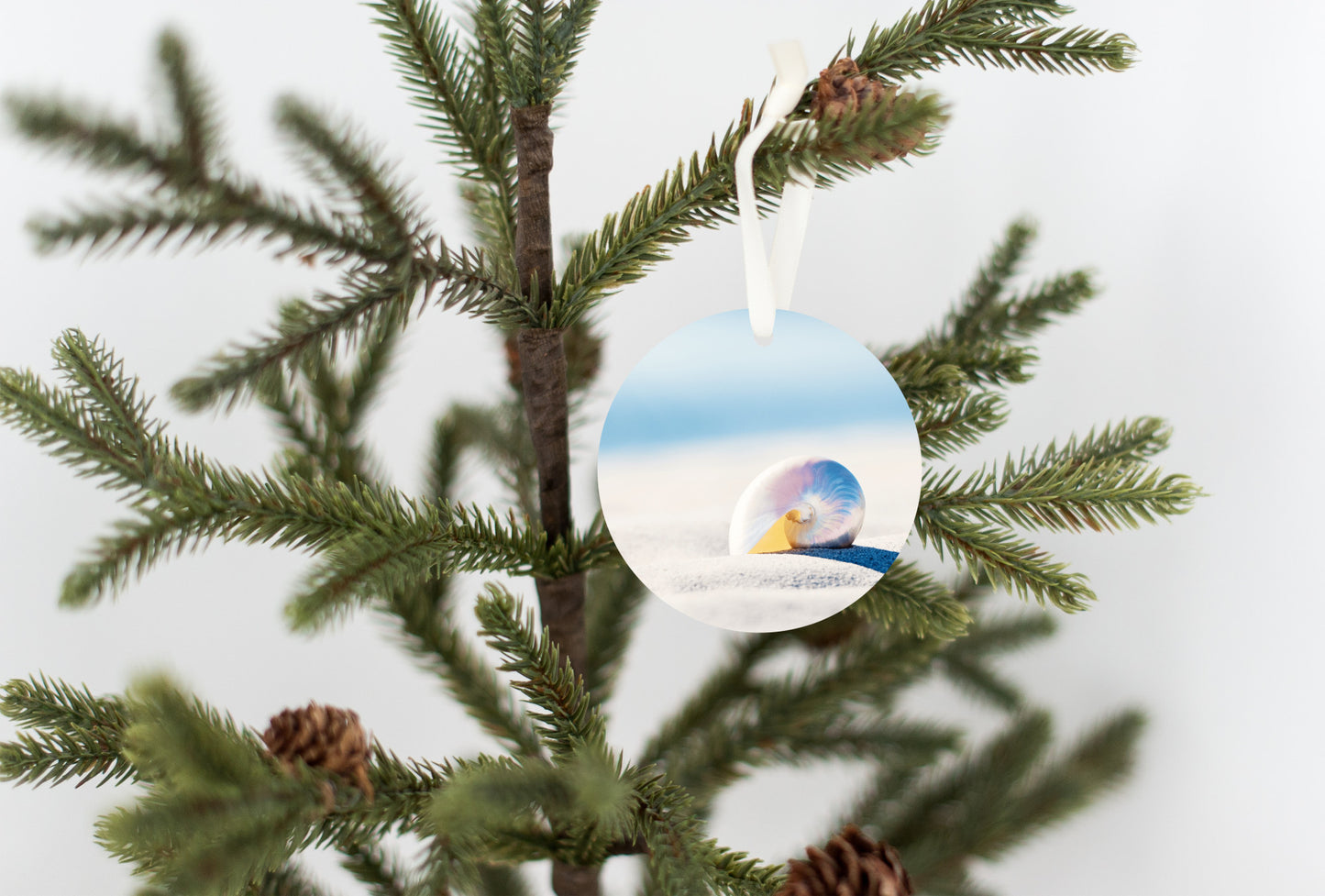 Nautilus Seashell Ornament, Shell Beach Christmas Gift