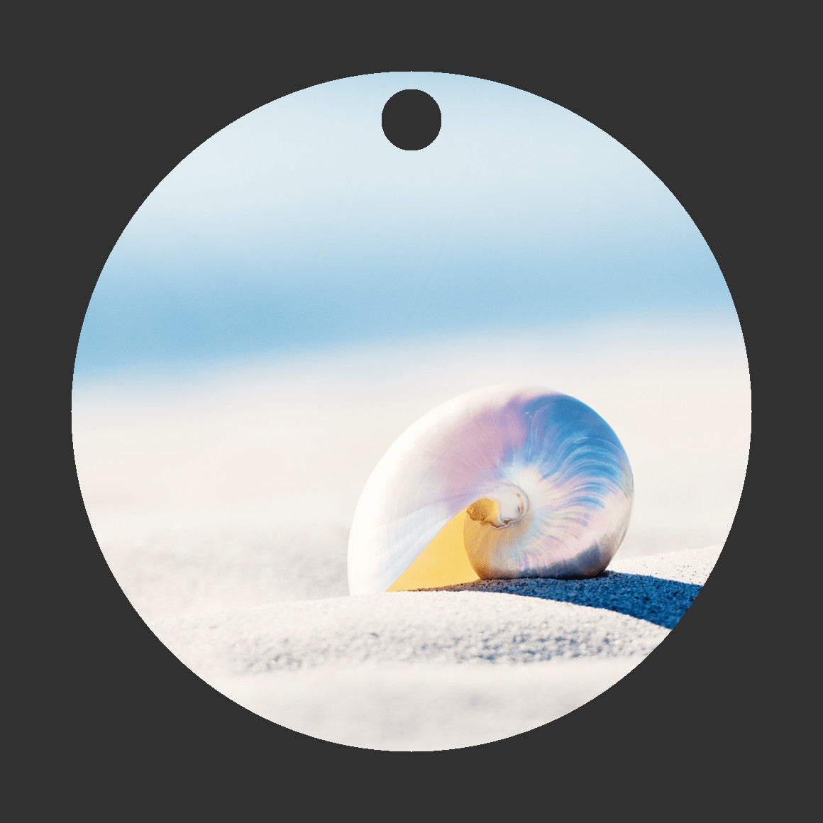 Nautilus Seashell Ornament, Shell Beach Christmas Gift