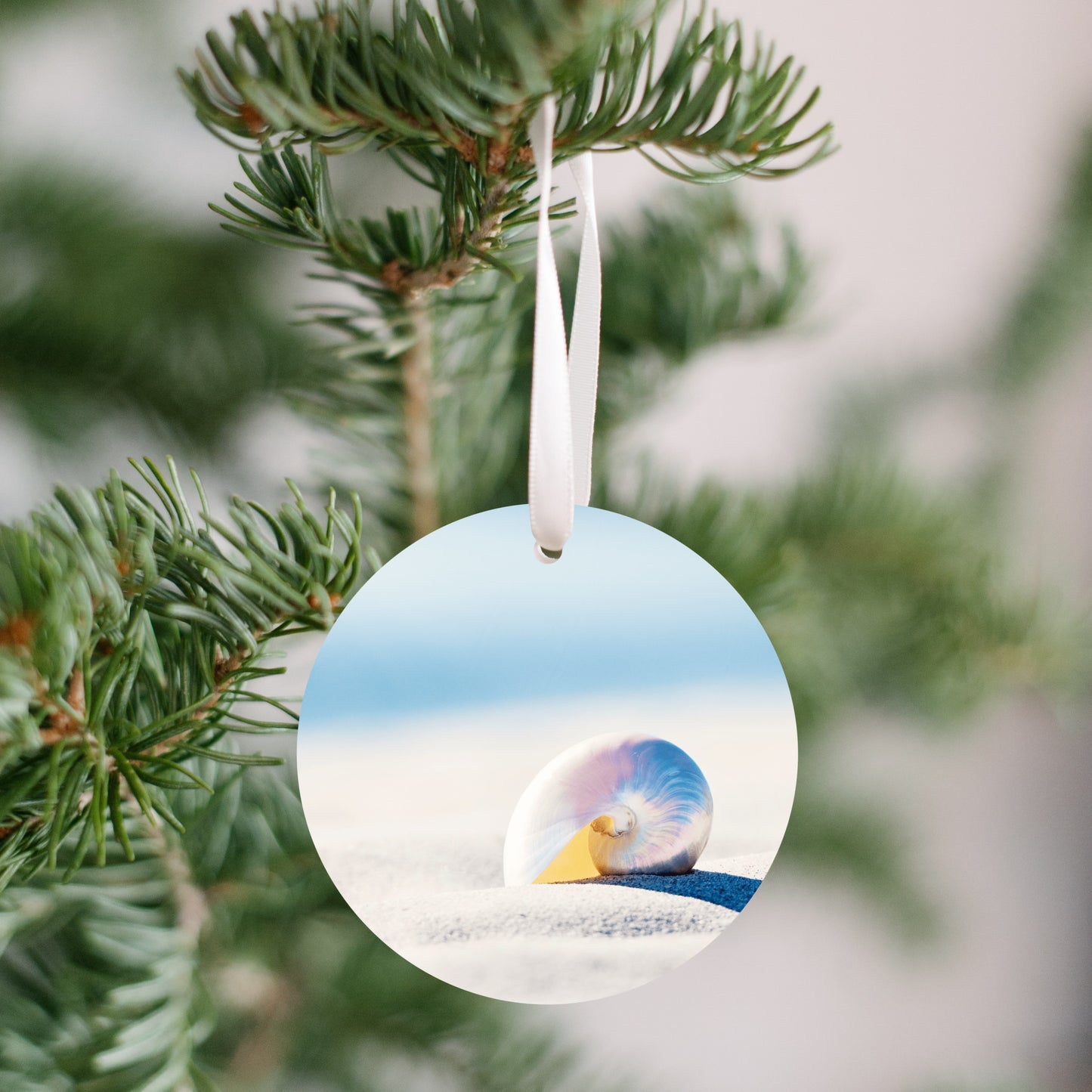 Nautilus Seashell Ornament, Shell Beach Christmas Gift