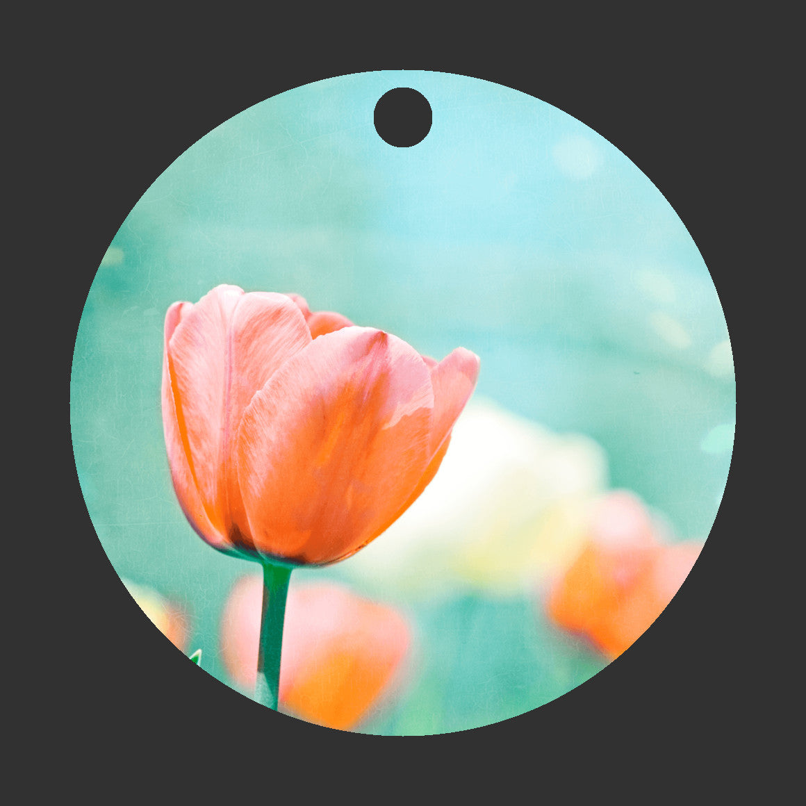 Aqua Orange Flower, Christmas Ornament Gift
