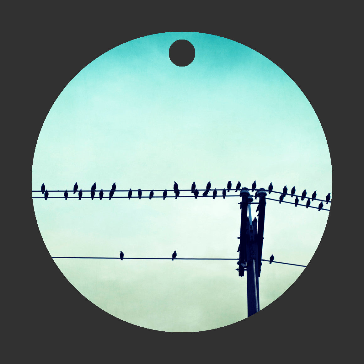 Birds on Wire Ornament, Aqua Teal Christmas Gift