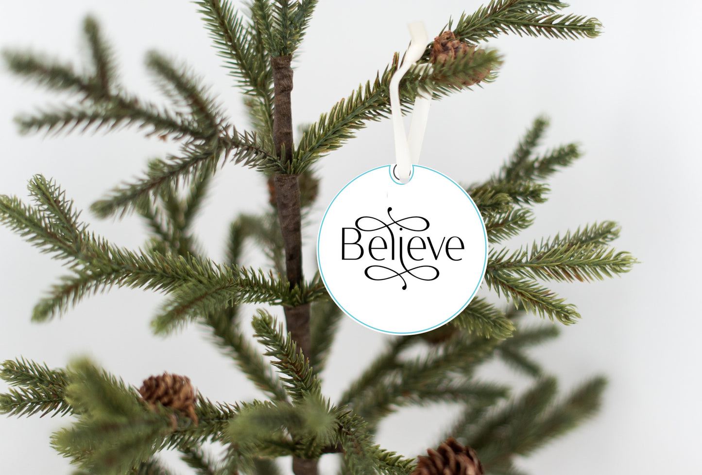 Christmas Ornament, Believe