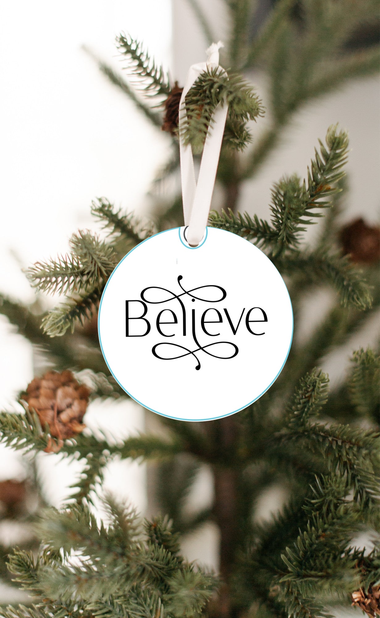 Christmas Ornament, Believe