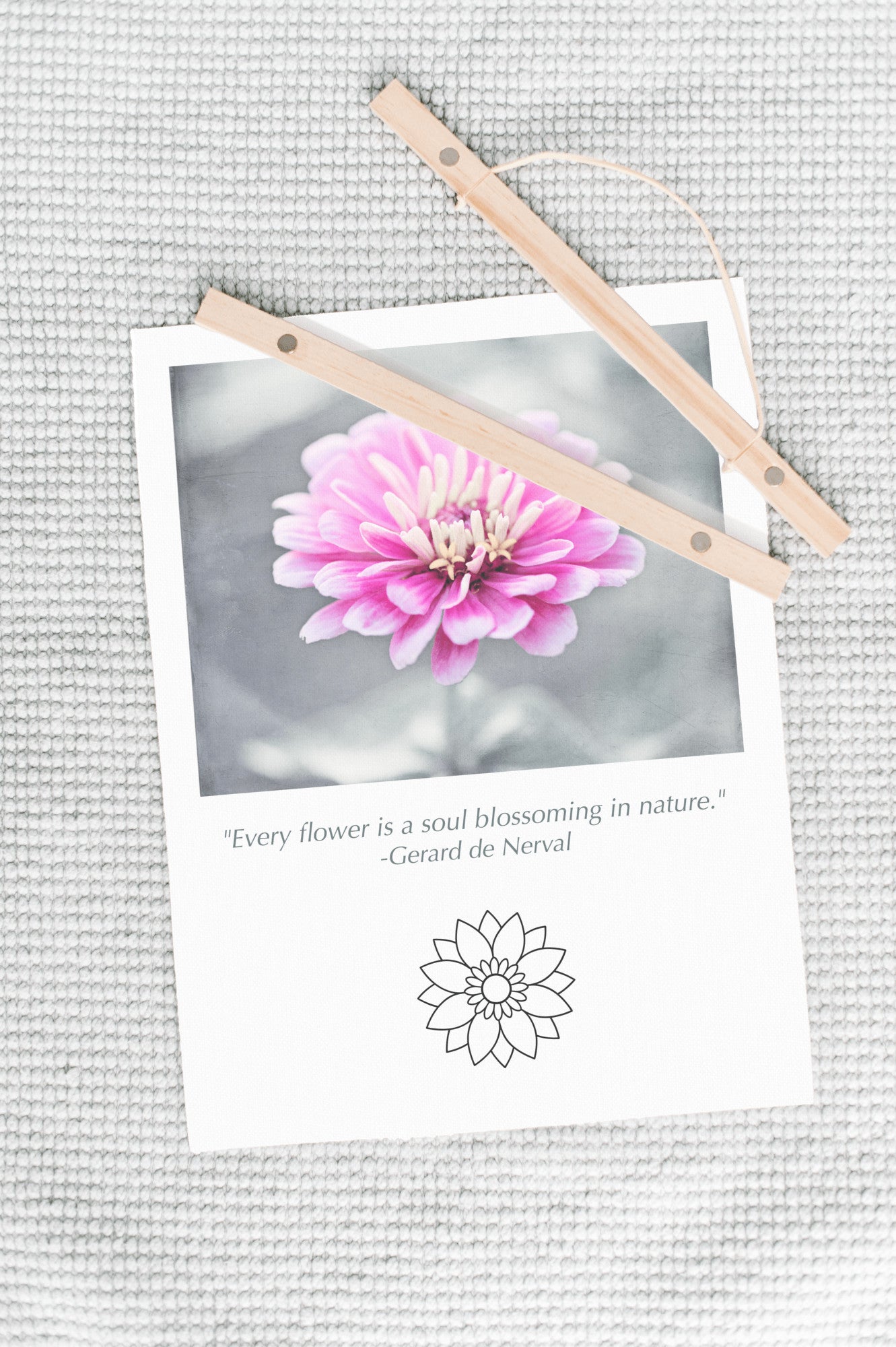 Pink Flower, Grey Canvas Art
