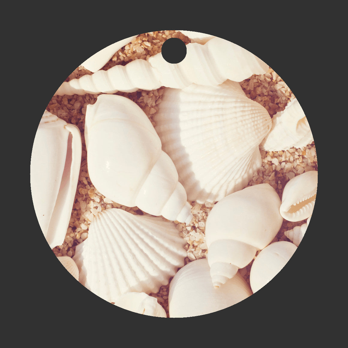 Seashell Beach Ornament, Shells Coastal Gift