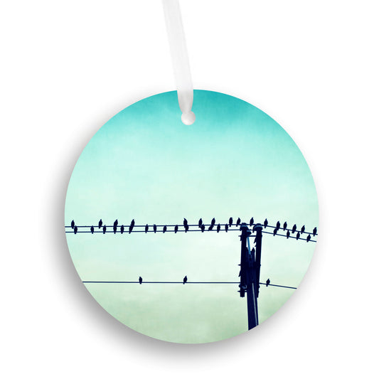 Birds on Wire Ornament, Aqua Teal Christmas Gift