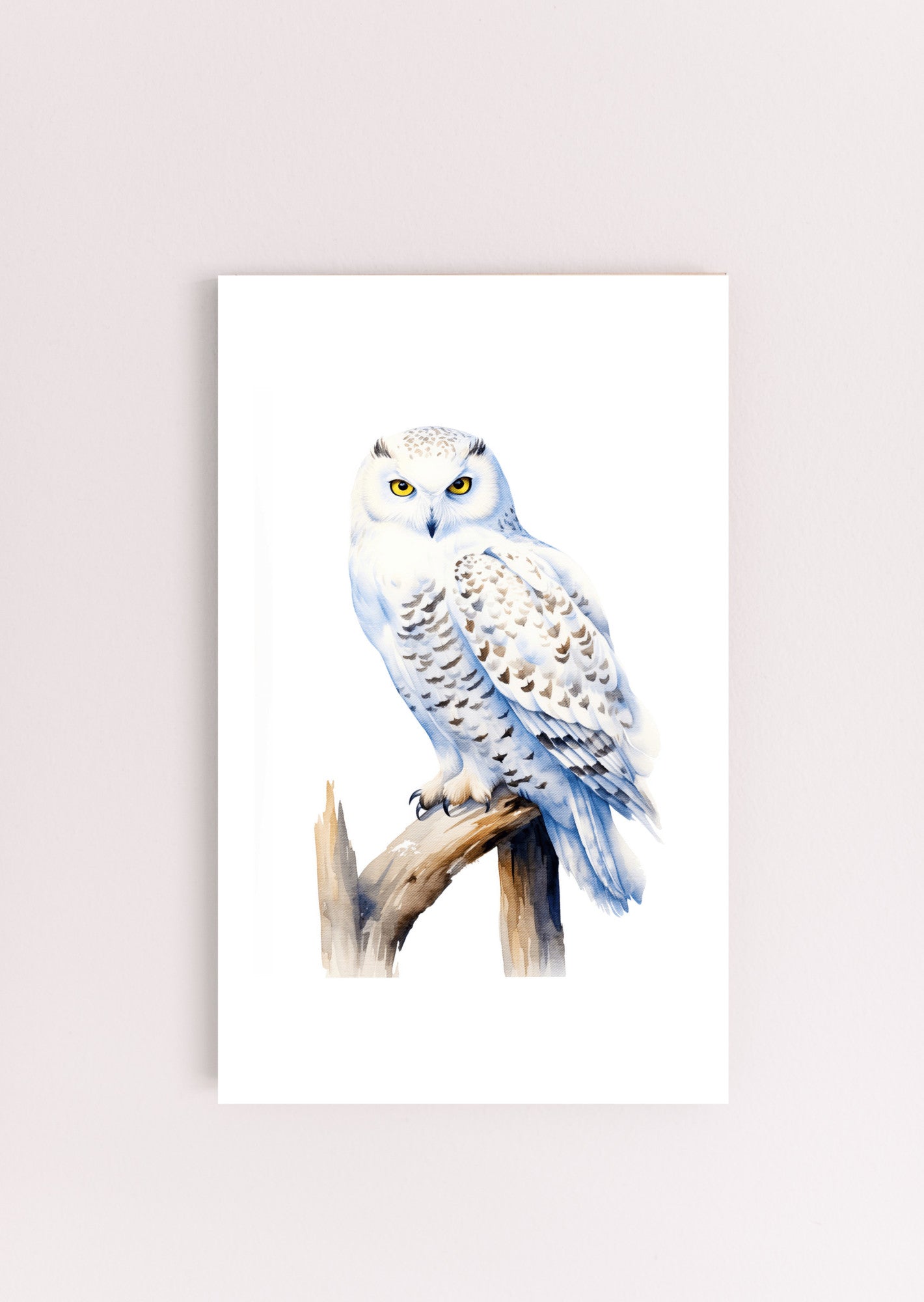 Snowy Owl Bird Art Print, Owl Nature Gift