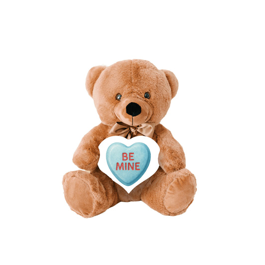 Valentine's Day Teddy Bear Gift, Be Mine Candy Heart