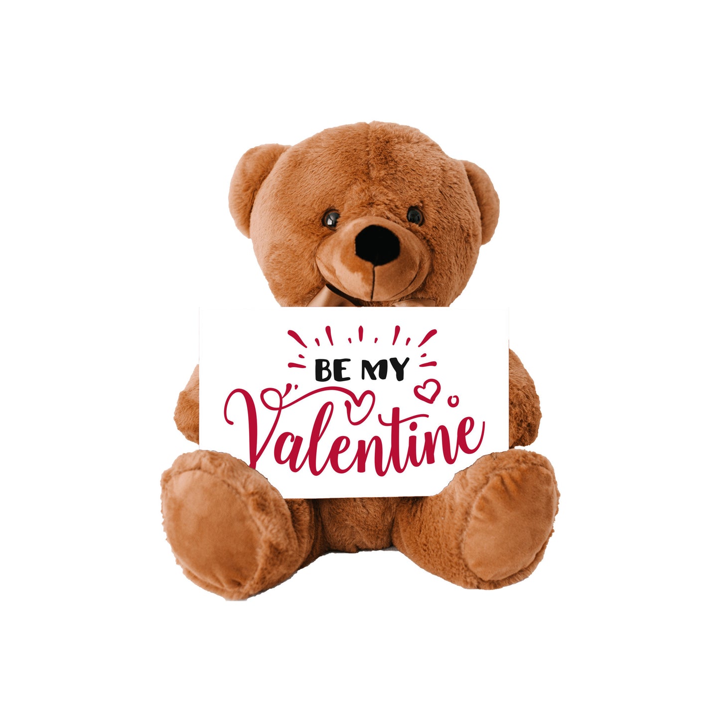 Valentine's Day Gift, Teddy Bear Present