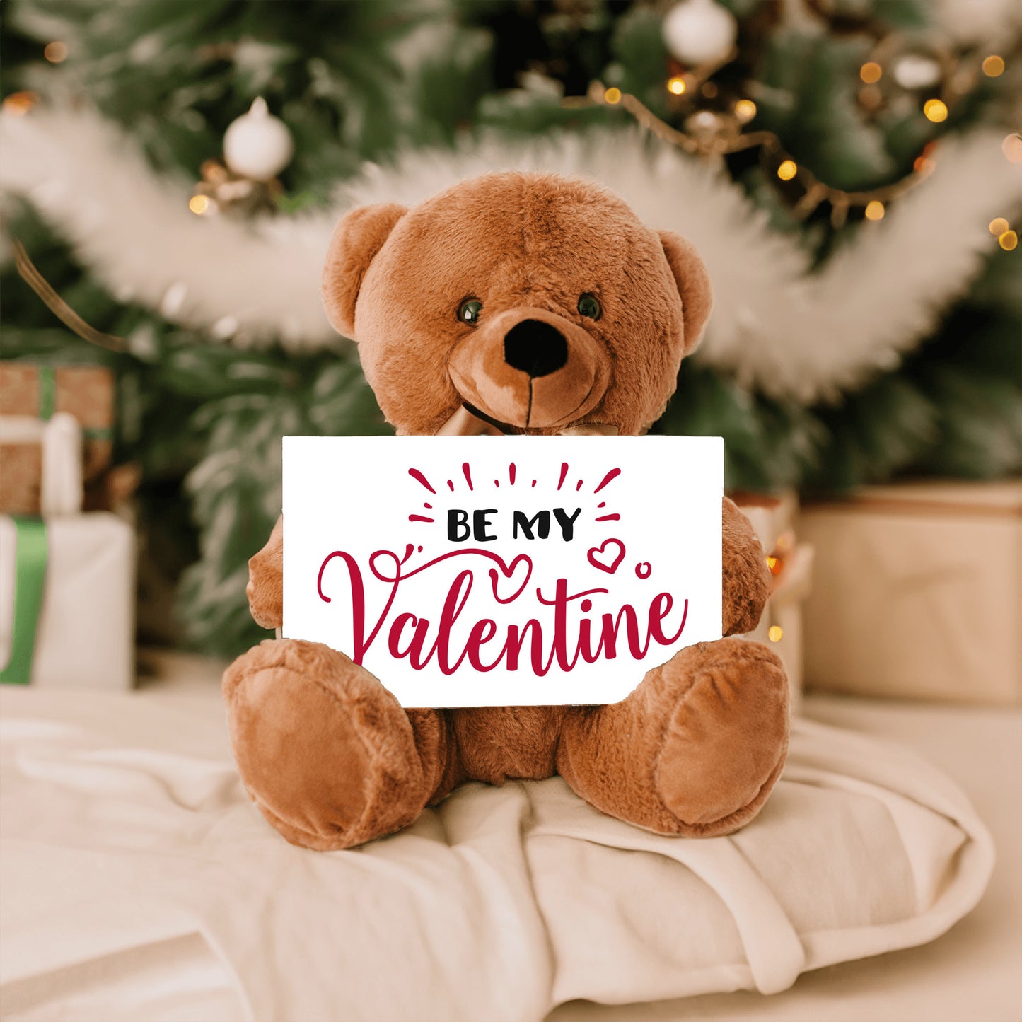 Valentine's Day Gift, Teddy Bear Present