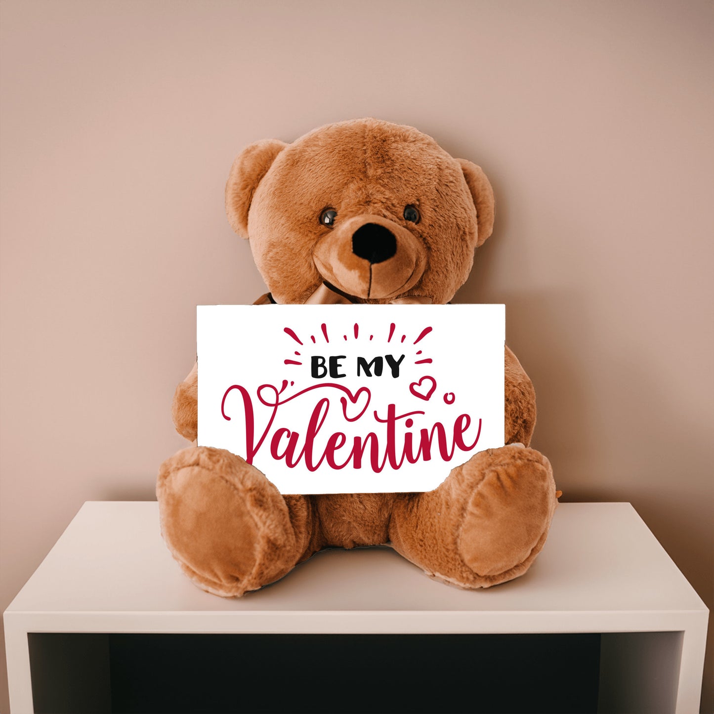 Valentine's Day Gift, Teddy Bear Present
